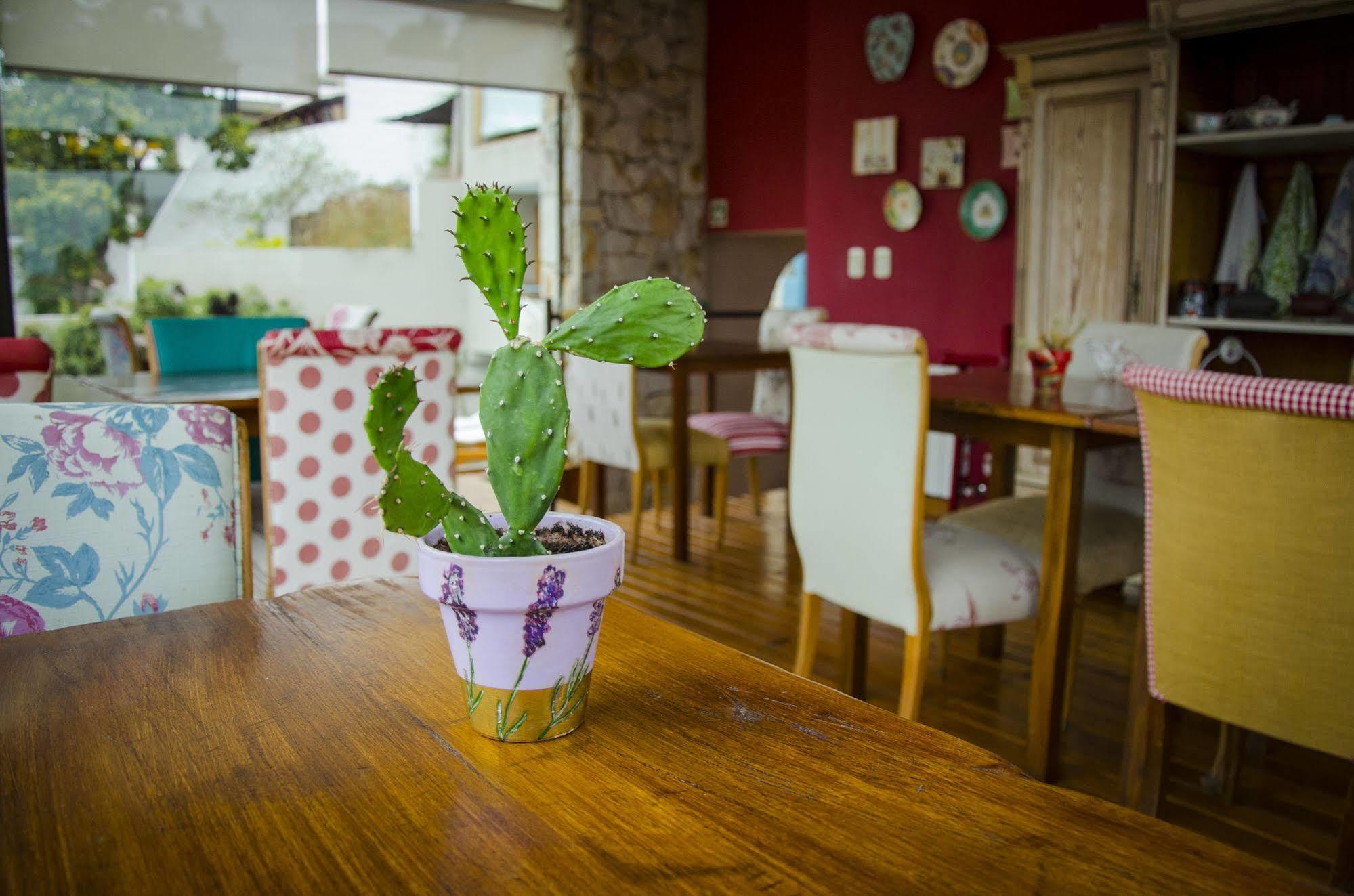 Kkala Boutique Hotel Salta Eksteriør bilde